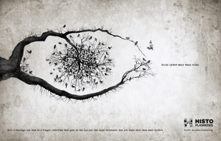 Histo.org: Eyes